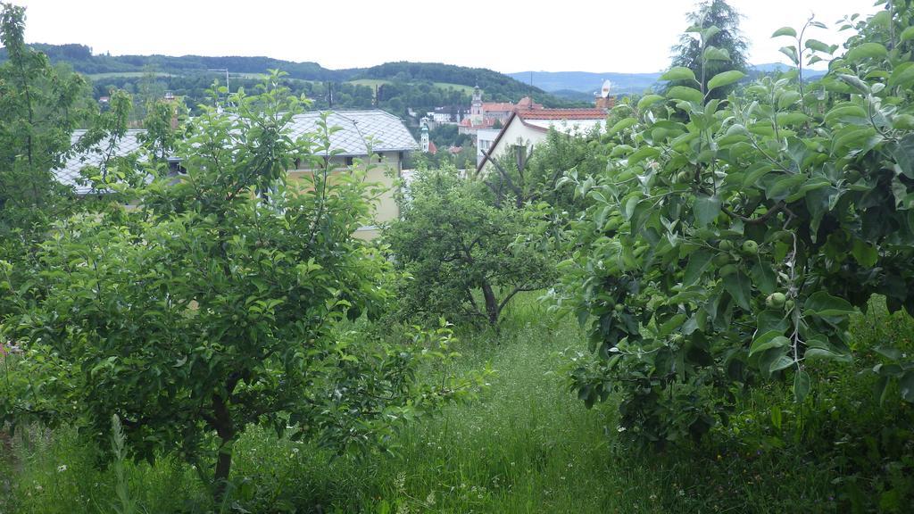 Ubytovani U Dolanskych Чески-Крумлов Экстерьер фото