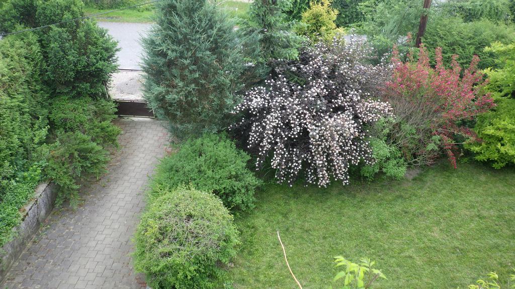 Ubytovani U Dolanskych Чески-Крумлов Экстерьер фото